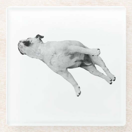 Cinnamon Pause ガラスコースター (正面)