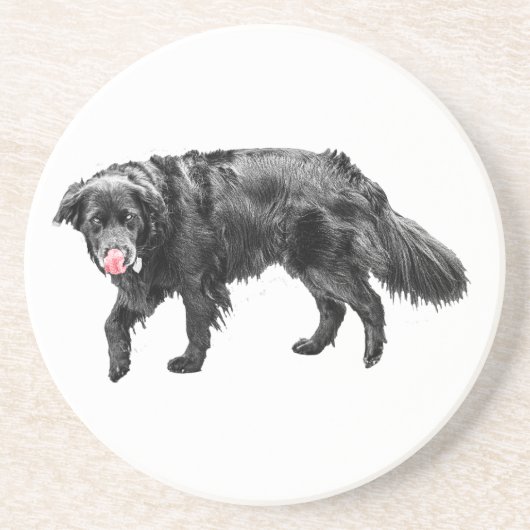 Cinnamon Steam, Scarlet Lick コースター (正面)