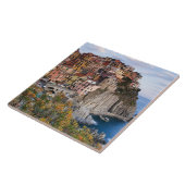 Cinque Terre、イタリア タイル (側面)