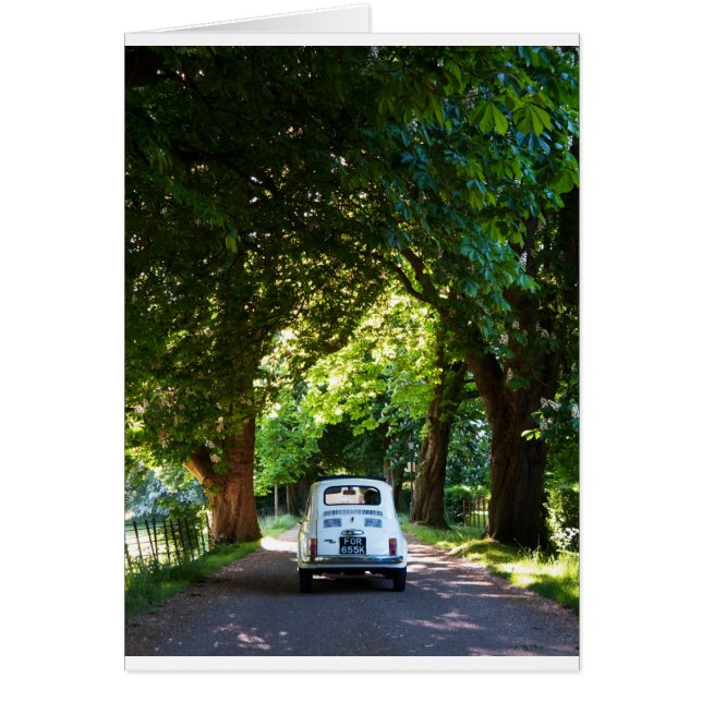 Cinquecentoフィアット500 (正面)