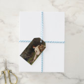 Circe (Woman With Wild Cats) (by John Collier) ギフトタグ (より糸つき)