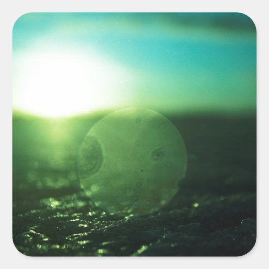 Circle in Square - medium format analog Hasselblad スクエアシール (正面)