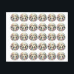 Circle of Flight and Whimsy ラベル<br><div class="desc">Wings in the Garden of Clouds</div>