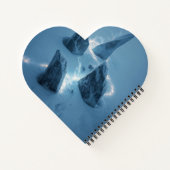 Circle of Light in the Snow ノートブック (裏面)