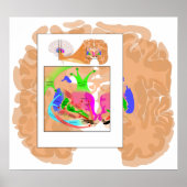 Circuits of Basal Ganglia Part of the Brain Chart ポスター (正面)