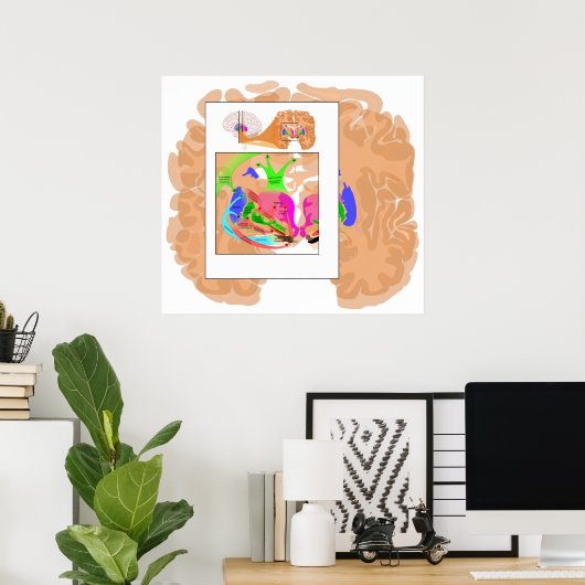 Circuits of Basal Ganglia Part of the Brain Chart ポスター (ホームオフィス)