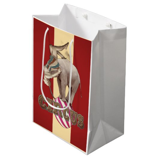 Circus Carnival  ミディアムペーパーバッグ (正面アングル)