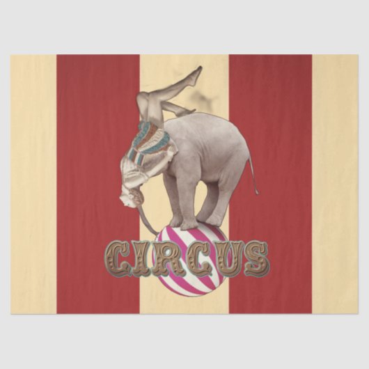 Circus Carnival  薄葉紙 (正面)