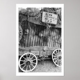 Circus Wagon ポスター