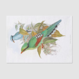 Cissa Venatoria Decopage 薄葉紙