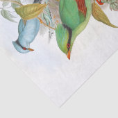 Cissa Venatoria Decopage 薄葉紙 (詳細)