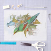 Cissa Venatoria Decopage 薄葉紙 (クラフト)