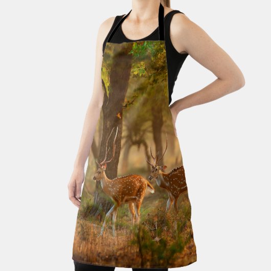 CitalまたはCheetal、Axis、Spotted Deers、Axi エプロン (インサイチュ)