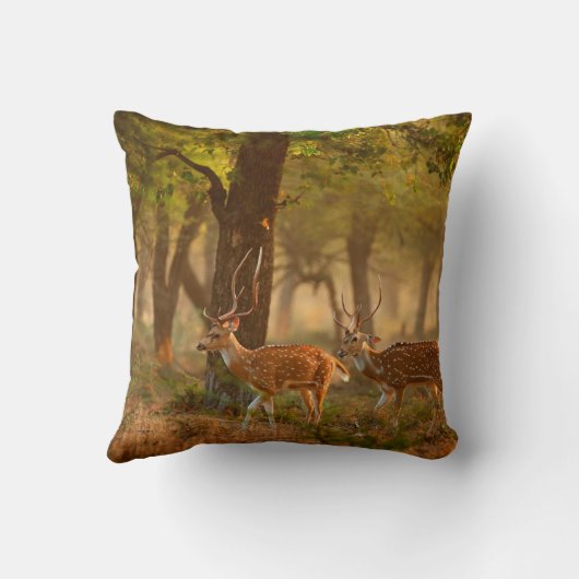 CitalまたはCheetal、Axis、Spotted Deers、Axi クッション (裏面)