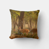 CitalまたはCheetal、Axis、Spotted Deers、Axi クッション (正面)