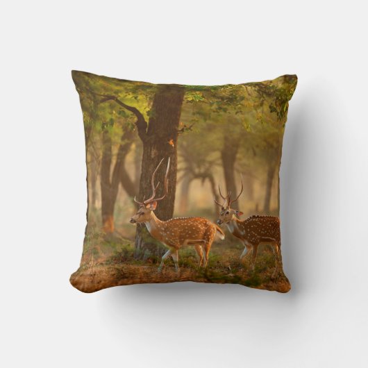 CitalまたはCheetal、Axis、Spotted Deers、Axi クッション (正面)
