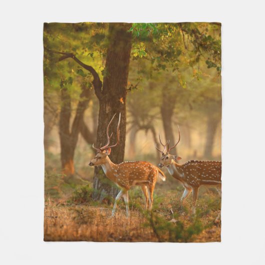 CitalまたはCheetal、Axis、Spotted Deers、Axi フリースブランケット (正面)