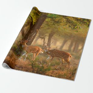 CitalまたはCheetal、Axis、Spotted Deers、Axi ラッピングペーパー