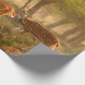 CitalまたはCheetal、Axis、Spotted Deers、Axi ラッピングペーパー (角)
