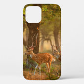 CitalまたはCheetal、Axis、Spotted Deers、Axi Case-Mate iPhoneケース (裏面)