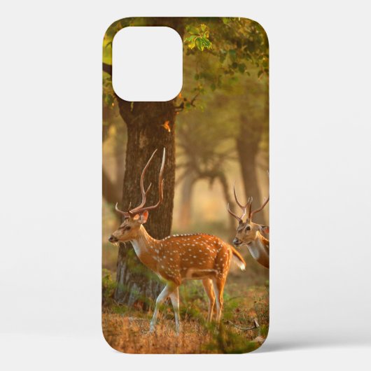 CitalまたはCheetal、Axis、Spotted Deers、Axi Case-Mate iPhoneケース (裏面)