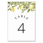 CITRONレモンシトラステーブルナンバーカード テーブルナンバー (裏面)