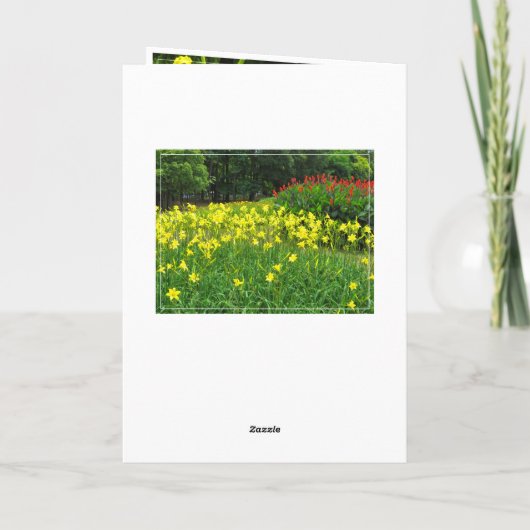 Citron Daylily カード (裏面)