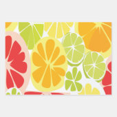 Citrus Fruit Pattern ラッピングペーパーシート (正面2)