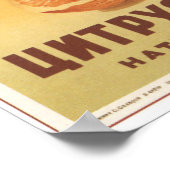 Citrus Juice ポスター (角)