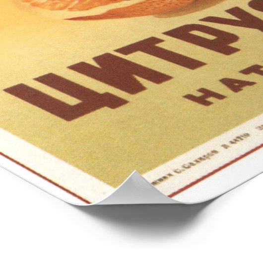 Citrus Juice ポスター (角)