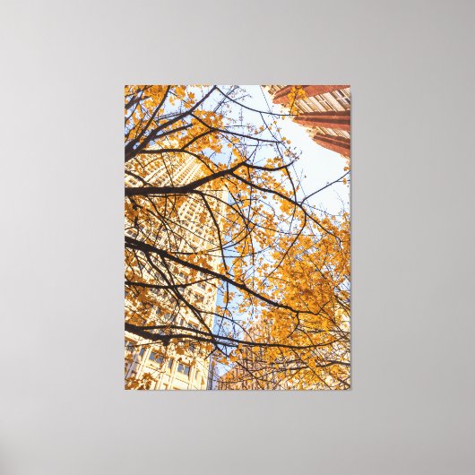 Cityの秋の木 キャンバスプリント (正面)