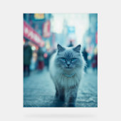 City Chic: The Catwalk Queen アクリルサイン (正面)