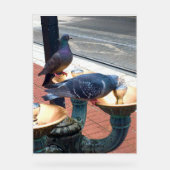 City Fountain Pigeons  アクリルサイン (正面)