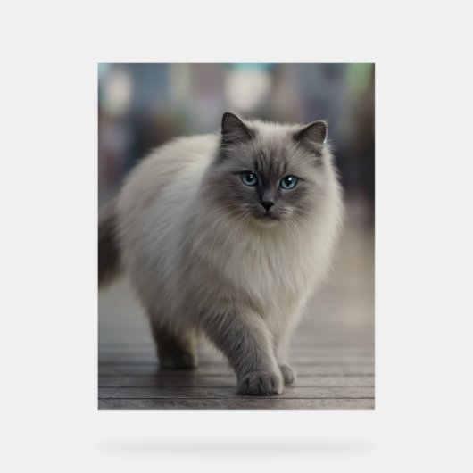 City Strolls and Sapphire Eyes アクリルサイン (正面)