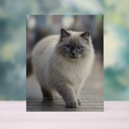 City Strolls and Sapphire Eyes アクリルサイン (ニュートラル)