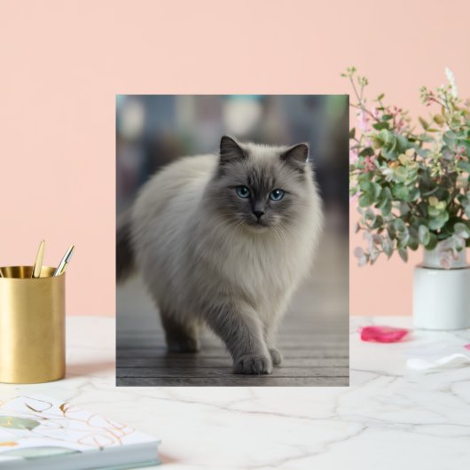 City Strolls and Sapphire Eyes アクリルサイン (ウェディング)