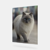 City Strolls and Sapphire Eyes アクリルサイン (傾斜)