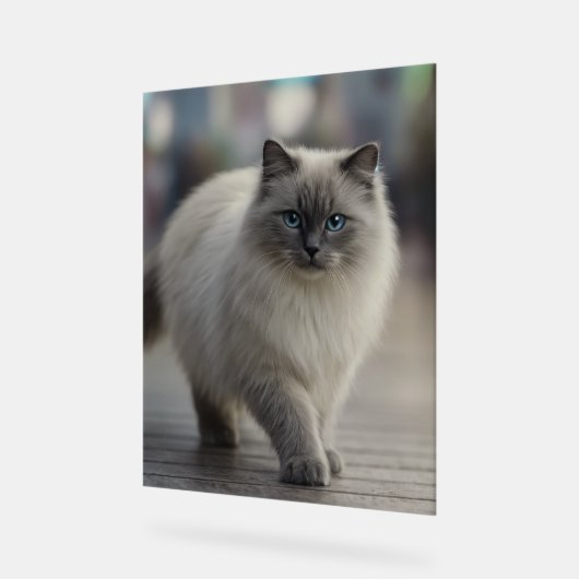 City Strolls and Sapphire Eyes アクリルサイン (傾斜)