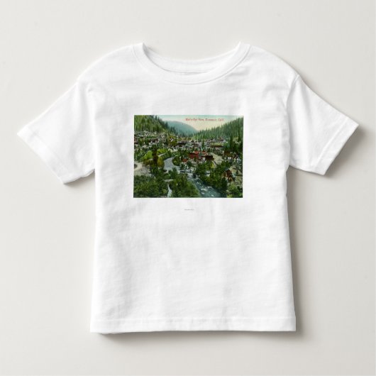 CityDunsmuirの空中写真、カリフォルニア トドラーTシャツ (正面)