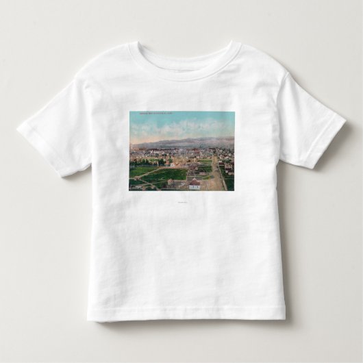CityPocatelloの空中写真、ID トドラーTシャツ (正面)