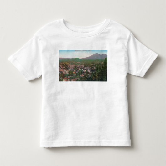CitySanラファエル、カリフォルニアの空中写真 トドラーTシャツ (正面)