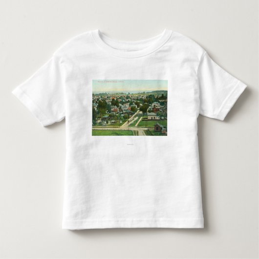 CitySanta Cruz、カリフォルニアの空中写真 トドラーTシャツ (正面)
