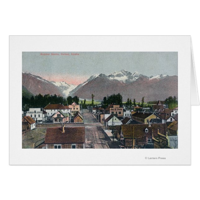 CityValdez, AKの空中夏の眺め (正面横)