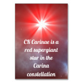 CKカリーナ テーブルナンバー (裏面)