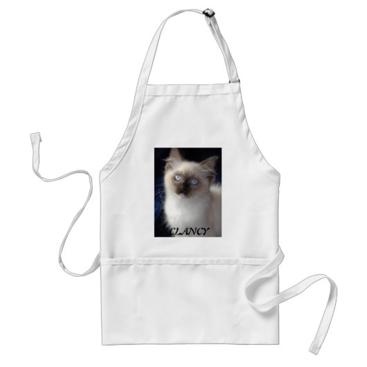 cla1、CLANCY スタンダードエプロン (正面)