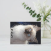 cla1、CLANCY ポストカード (スタンド正面)