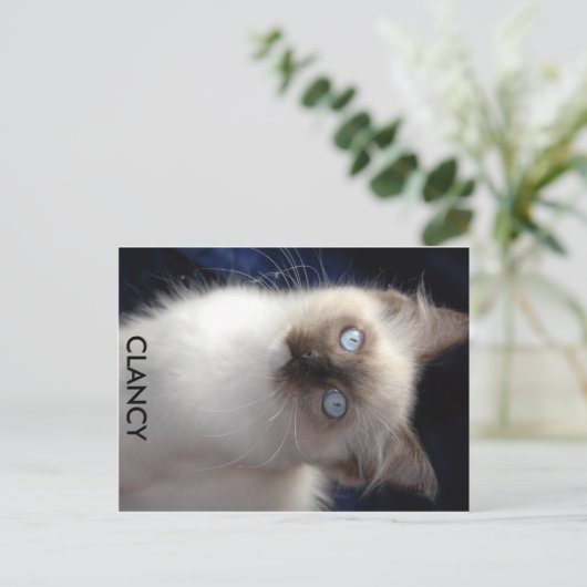 cla1、CLANCY ポストカード (スタンド正面)