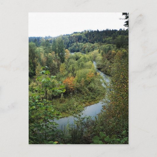 Clackamas River(OR) ポストカード (正面)
