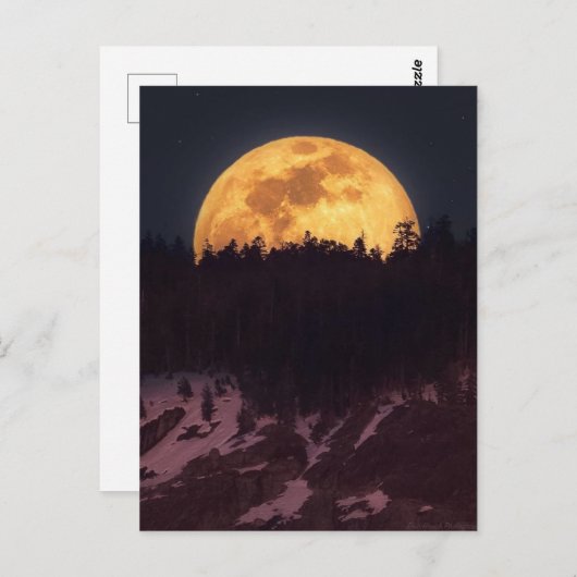 Clair de lune ポストカード (正面/裏面)