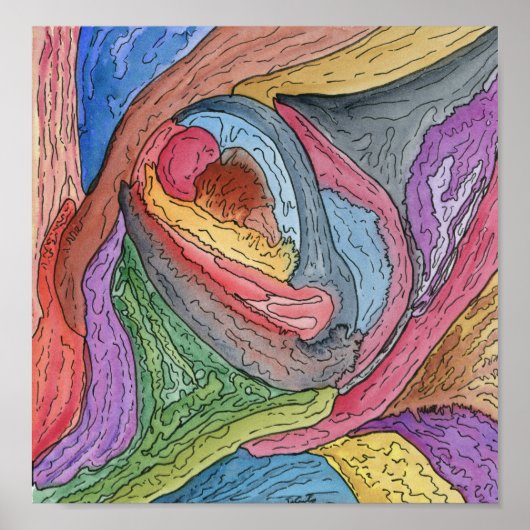 Clam Claw ポスター (正面)